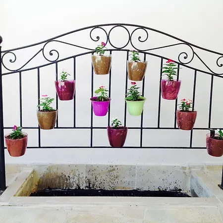 ホテル Mood Altınkum