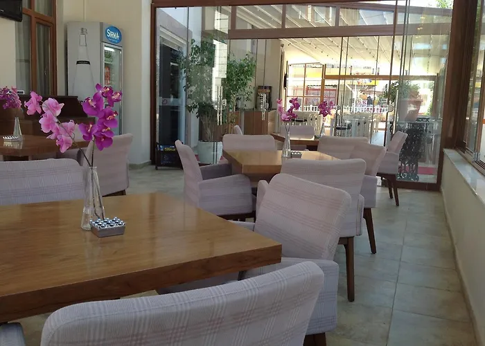 Mood Altinkum (Aydin)